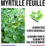 La bonne vision, l’équilibre visuel