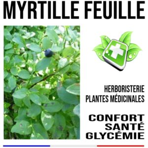 Myrtille feuille 150