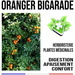 Oranger bigarade feuille 100