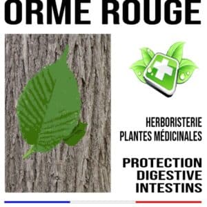 Orme Rouge Ecorce 100