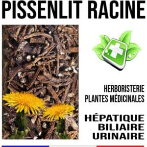 Pissenlit Racine 200