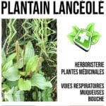 Actualité sur les