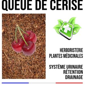 Queue de  cerise 250
