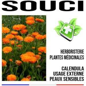 Souci pétale 100