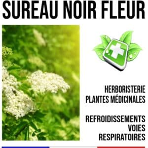 Sureau Fleur 100