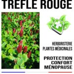 Les déséquilibres féminins et la ménopause