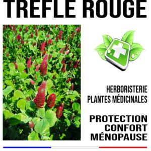 Trèfle rouge 90