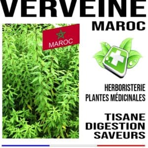Verveine Maroc feuille 100