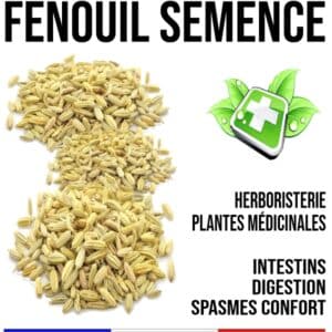 Fenouil