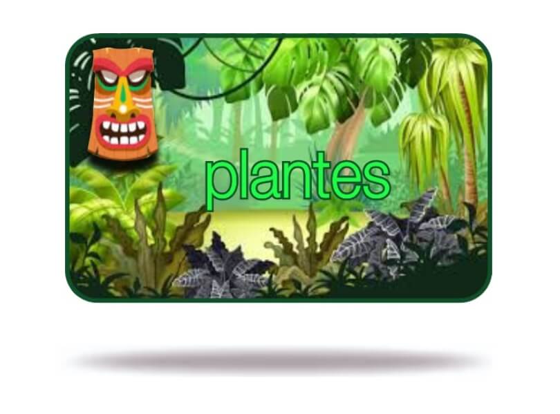Plantes