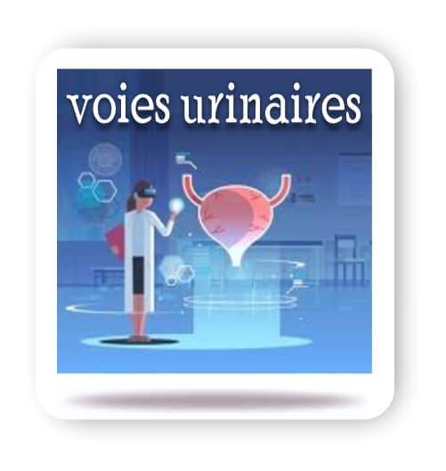 Voies urinaires et drainage