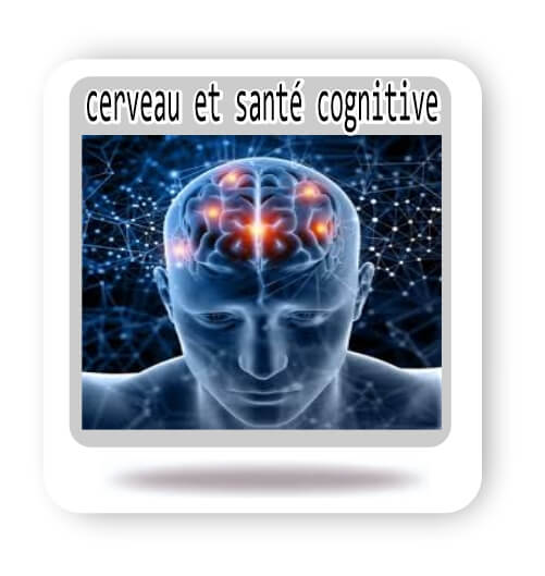 Mémoire et Concentration