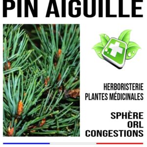 Pin aiguille 200
