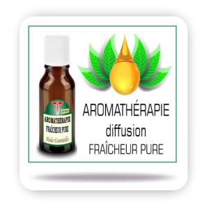 Aromaspray ® BIO  Menthe Eucalyptus