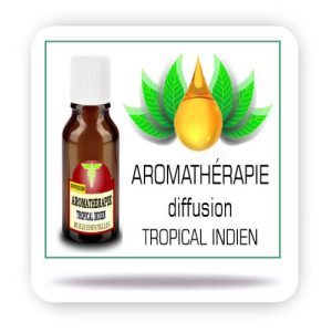 Aromaspray ® BIO  Menthe Eucalyptus