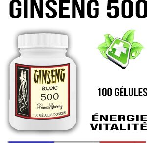 Ginseng blanc 500 mg 100