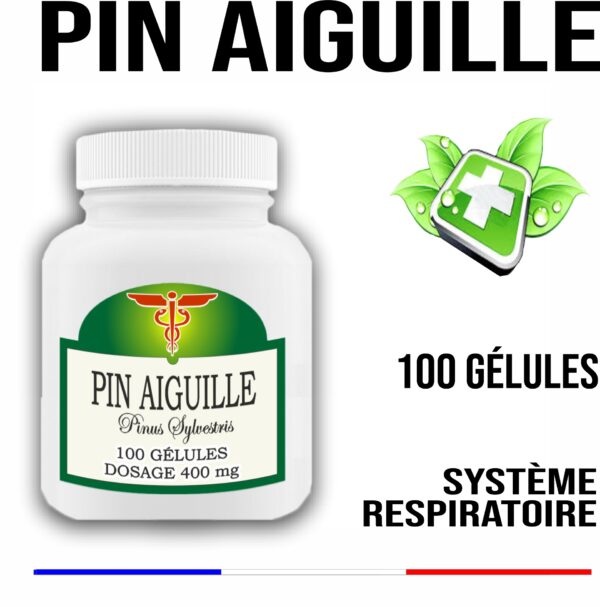 Pin aiguille 400 mg 100