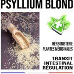 Transit Mélange de Plantes 170
