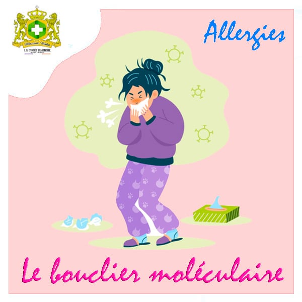 Actualité sur les