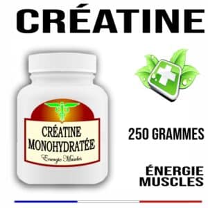 Créatine Monohydratée Ultra Fine 200 MESH ==== 250