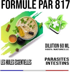 Aromathérapie Formule Parasites PAR 817 60