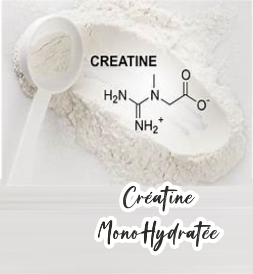 Créatine Monohydratée Ultra fine 200