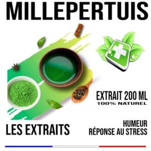 Millepertuis Teinture Végétale